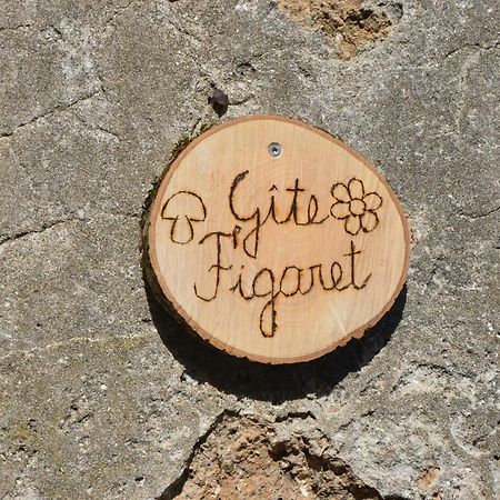 Gite Figaret Saint-Julien-de-la-Nef 外观 照片