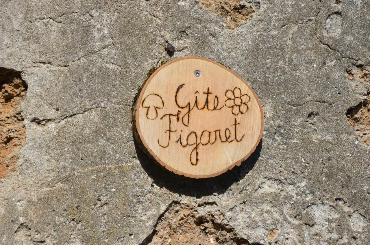 Gite Figaret Saint-Julien-de-la-Nef 外观 照片